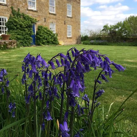 Cotswolds Mine Hill House Bed and Breakfast Lower Brailes Eksteriør billede
