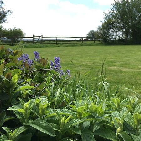 Cotswolds Mine Hill House Bed and Breakfast Lower Brailes Eksteriør billede
