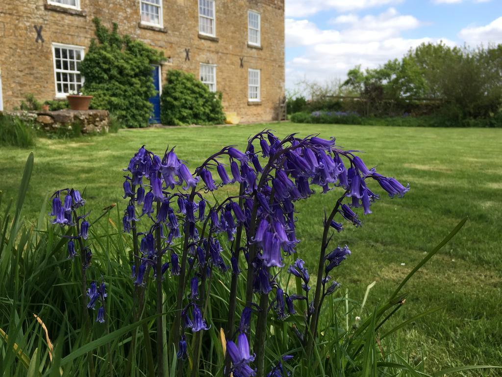 Cotswolds Mine Hill House Bed and Breakfast Lower Brailes Eksteriør billede