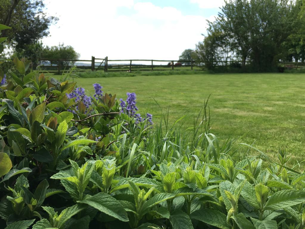 Cotswolds Mine Hill House Bed and Breakfast Lower Brailes Eksteriør billede