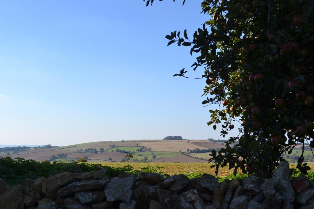 Cotswolds Mine Hill House Bed and Breakfast Lower Brailes Eksteriør billede